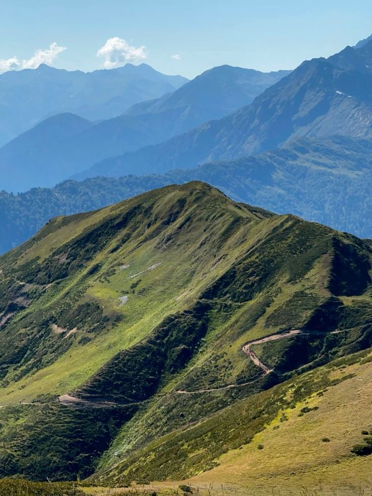 Экосистемы степи