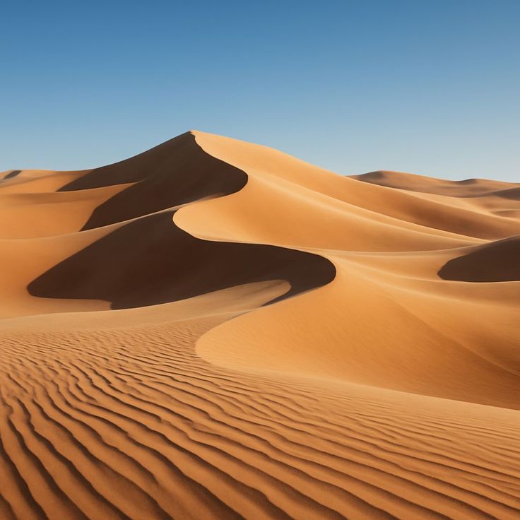 Пустыни мира